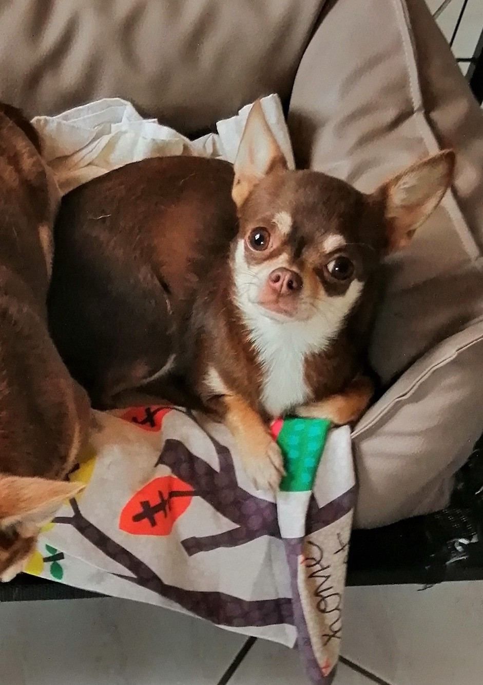 Toscane Du Moulin Des Petits Gringos